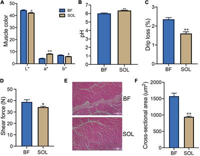 Phosphoproteomic analysis identifies differentially expressed phosphorylation sites that affect muscle fiber type in pigs